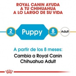 Royal canin Chihuahua junior pienso para Chihuahua joven