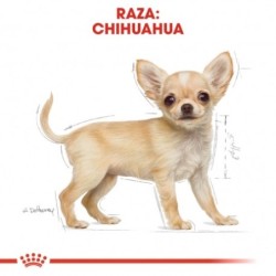 Royal canin Chihuahua junior pienso para Chihuahua joven