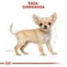 Foto 6 de Royal canin Chihuahua junior pienso para Chihuahua joven