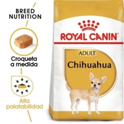 Royal canin Chihuahua pienso para Chihuahua