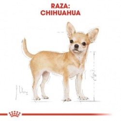 Royal canin Chihuahua pienso para Chihuahua