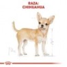 Foto 3 de Royal canin Chihuahua pienso para Chihuahua