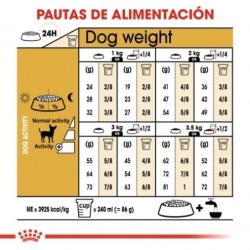 Royal canin Chihuahua pienso para Chihuahua