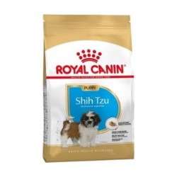 Royal canin Shih tzu junior pienso para Shih tzu joven