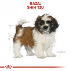 Royal canin Shih tzu junior pienso para Shih tzu joven