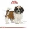 Foto 3 de Royal canin Shih tzu junior pienso para Shih tzu joven