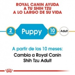 Royal canin Shih tzu junior pienso para Shih tzu joven