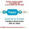 Foto 4 de Royal canin Shih tzu junior pienso para Shih tzu joven