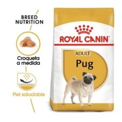 Royal canin Carlino pienso para Carlino