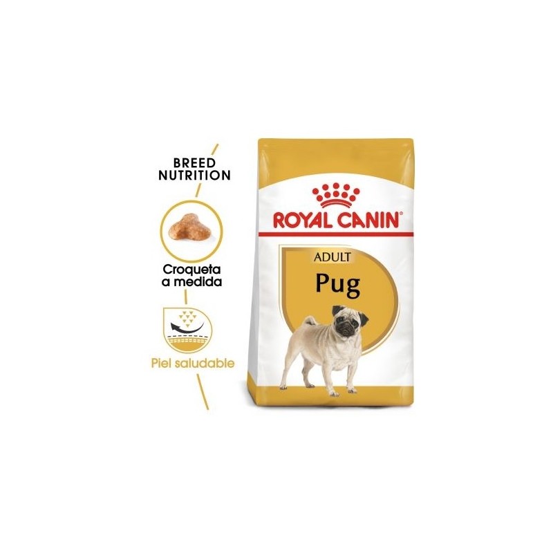 Royal canin Carlino pienso para Carlino