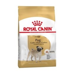 Royal canin Carlino pienso para Carlino