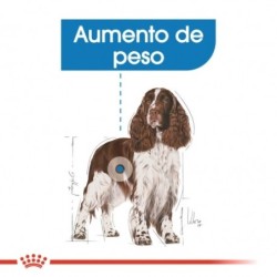 Royal canin medium light pienso perros raza mediana