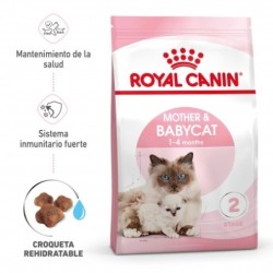 Royal canin Mother & Babycat 34 pienso para gatitos