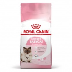 Royal canin Mother & Babycat 34 pienso para gatitos