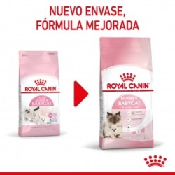 Royal canin Mother & Babycat 34 pienso para gatitos