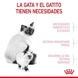 Royal canin Mother & Babycat 34 pienso para gatitos