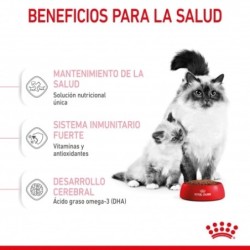 Royal canin Mother & Babycat 34 pienso para gatitos