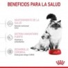 Foto 10 de Royal canin Mother & Babycat 34 pienso para gatitos