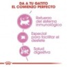 Foto 12 de Royal canin Mother & Babycat 34 pienso para gatitos