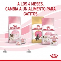 Royal canin Mother & Babycat 34 pienso para gatitos