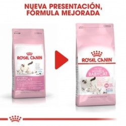 Royal canin Mother & Babycat 34 pienso para gatitos