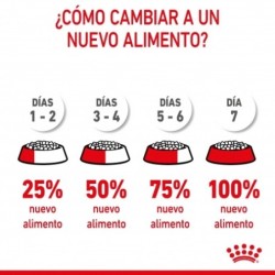 Royal canin Mother & Babycat 34 pienso para gatitos