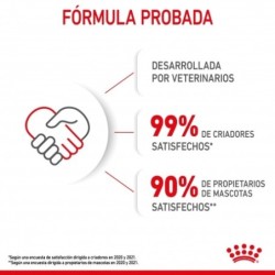 Royal canin Mother & Babycat 34 pienso para gatitos