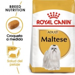 Royal Canin Bichon Maltese Adulto pienso para raza