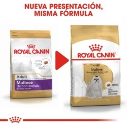 Royal Canin Bichon Maltese Adulto pienso para raza, Peso 1,5 Kg.