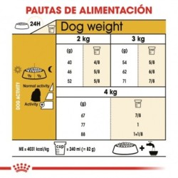 Royal Canin Bichon Maltese Adulto pienso para raza, Peso 1,5 Kg.