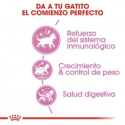 Royal Canin Kitten Sterilised para gatitos esterilizados