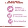 Foto 5 de Royal Canin Kitten Sterilised para gatitos esterilizados