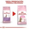 Foto 8 de Royal Canin Kitten Sterilised para gatitos esterilizados