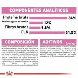 Royal Canin Kitten Sterilised para gatitos esterilizados