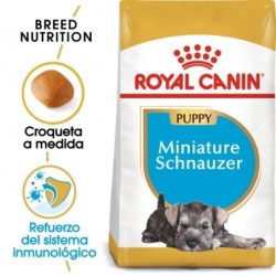 Royal canin Schnauzer junior pienso para schnauzer joven