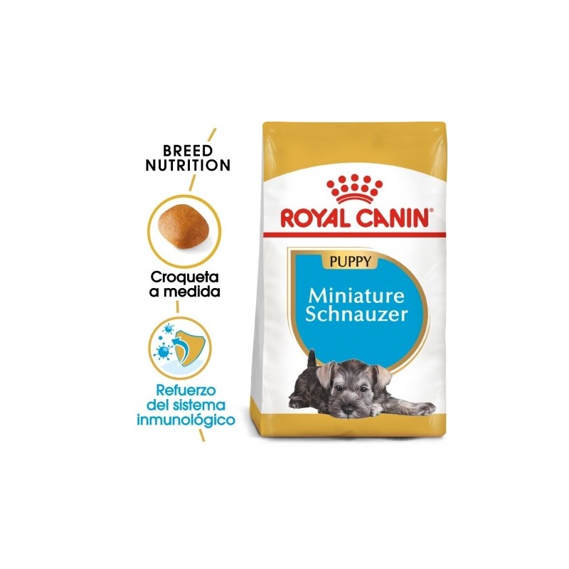 Royal canin Schnauzer junior pienso para schnauzer joven