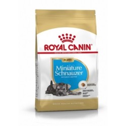 Royal canin Schnauzer junior pienso para schnauzer joven