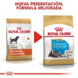 Royal canin Schnauzer junior pienso para schnauzer joven