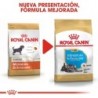 Foto 3 de Royal canin Schnauzer junior pienso para schnauzer joven