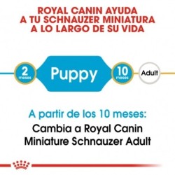 Royal canin Schnauzer junior pienso para schnauzer joven