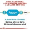 Foto 5 de Royal canin Schnauzer junior pienso para schnauzer joven