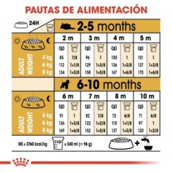 Royal canin Schnauzer junior pienso para schnauzer joven