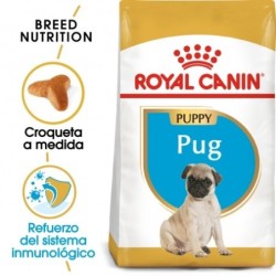 Royal canin carlino junior pienso para carlino joven