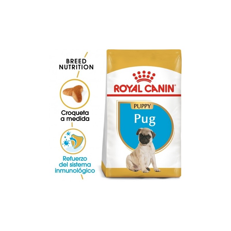 Royal canin carlino junior pienso para carlino joven