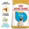 Foto 1 de Royal canin carlino junior pienso para carlino joven