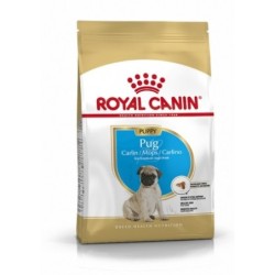 Royal canin carlino junior pienso para carlino joven