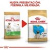 Foto 8 de Royal canin carlino junior pienso para carlino joven