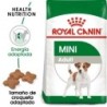 Foto 1 de Royal Canin Dog Mini Adult 8 Kg + 1 Kg BB