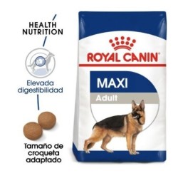 Royal Canin Maxi Adult pienso para perro adulto raza grande