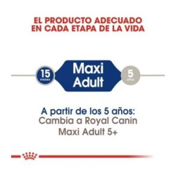 Royal Canin Maxi Adult pienso para perro adulto raza grande, Peso 15 + 3 Kg ¡Gratis!